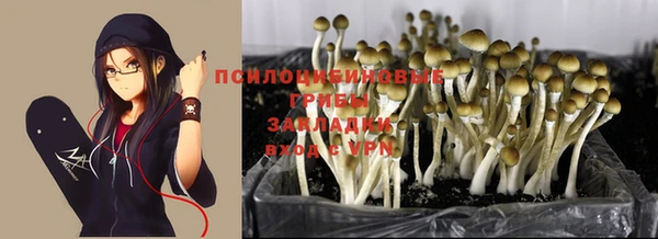 соль ск Алзамай