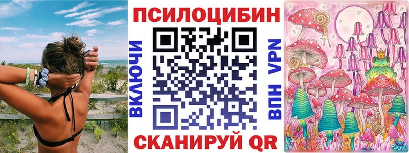 что такое Егорьевск блэк спрут онион Галлюциногенные грибы Magic Shrooms